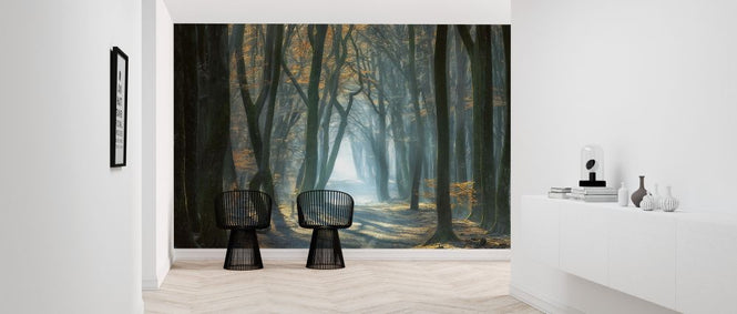 PHOTOWALL / Cold Light (e324016)