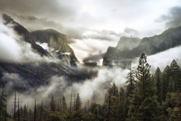 PHOTOWALL / Upper Valley Morning (e324019)