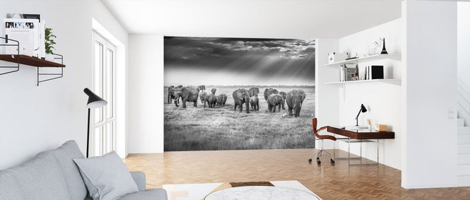 PHOTOWALL / Breakfast with Pachyderms (e324030)