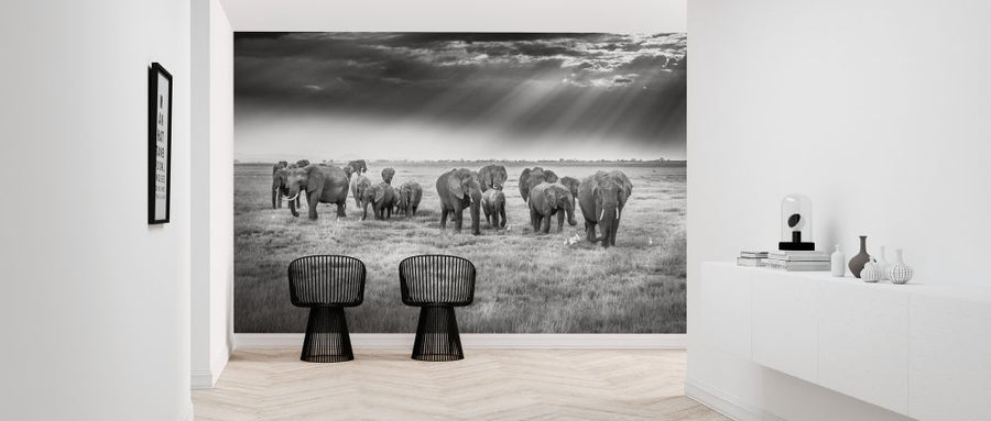 PHOTOWALL / Breakfast with Pachyderms (e324030)