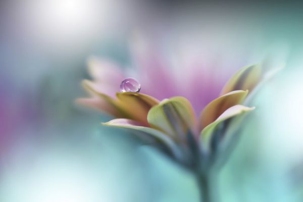 PHOTOWALL / Memories of Sea (e324032)