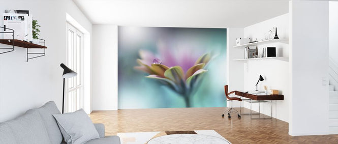 PHOTOWALL / Memories of Sea (e324032)