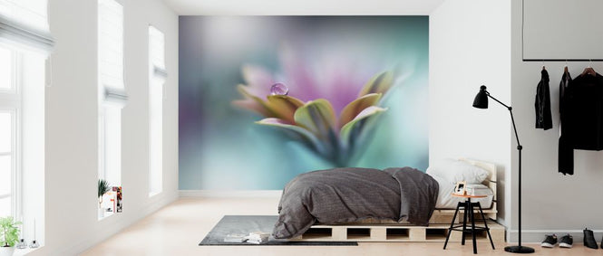 PHOTOWALL / Memories of Sea (e324032)