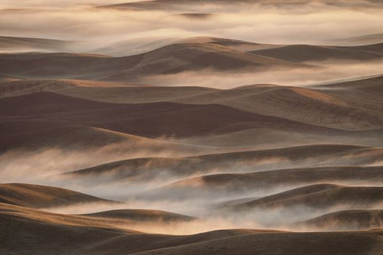 PHOTOWALL / Early Spring Morning at Palouse (e324036)