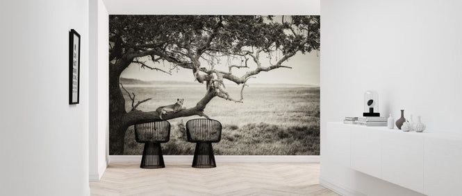 PHOTOWALL / Queen (e324038)