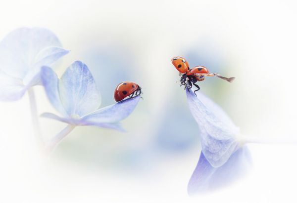 PHOTOWALL / Remember Me (e324042)