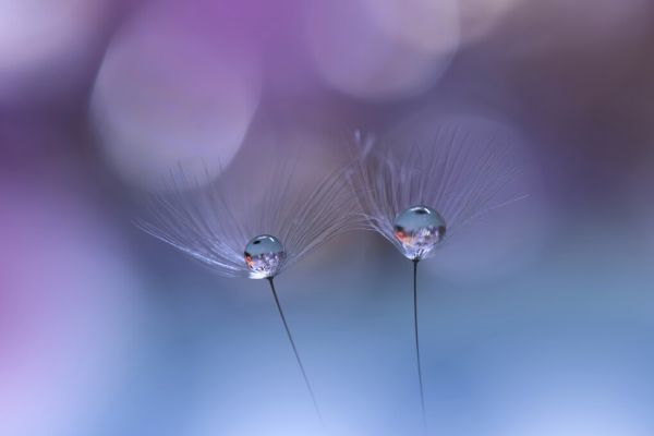 PHOTOWALL / Droplet (e324044)