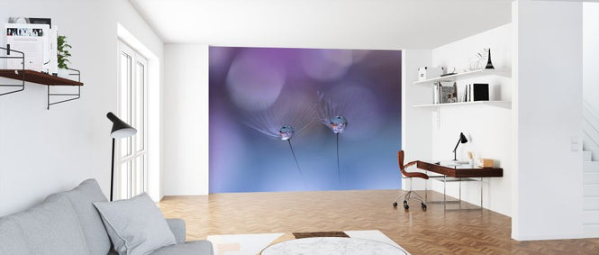 PHOTOWALL / Droplet (e324044)