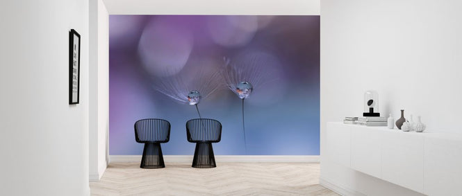 PHOTOWALL / Droplet (e324044)