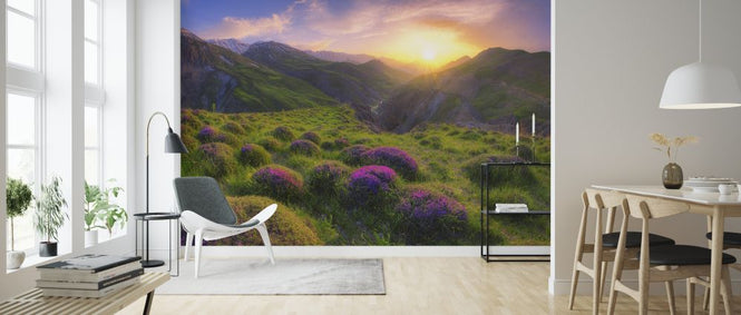 PHOTOWALL / Spring in Show (e324046)