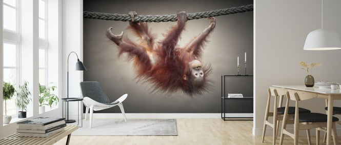 PHOTOWALL / Don't Murder our Primeval Forests (e324049)