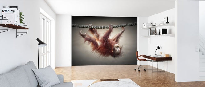 PHOTOWALL / Don't Murder our Primeval Forests (e324049)