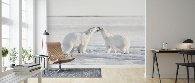 PHOTOWALL / Morning Celebration (e324056)