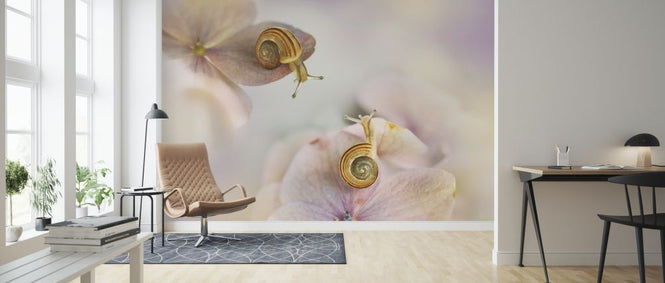 PHOTOWALL / Little Snails (e324057)