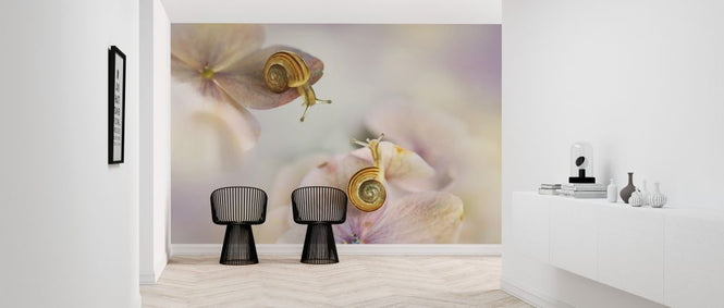 PHOTOWALL / Little Snails (e324057)