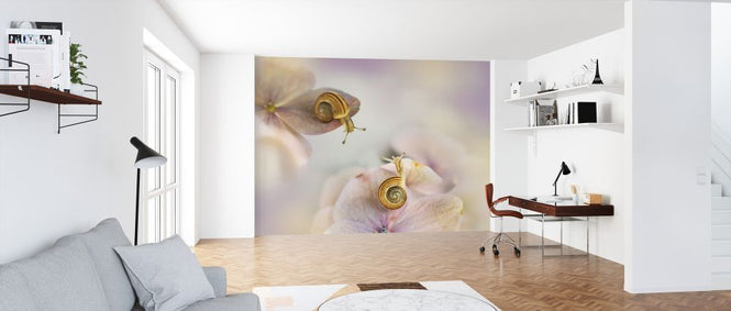 PHOTOWALL / Little Snails (e324057)