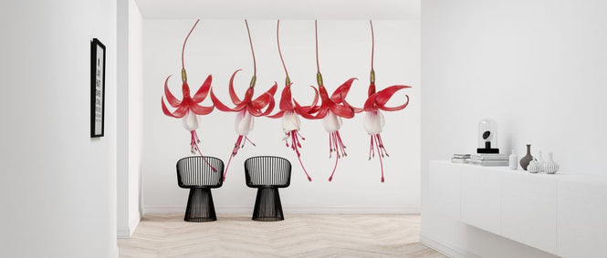 PHOTOWALL / Fuchsia (e324059)