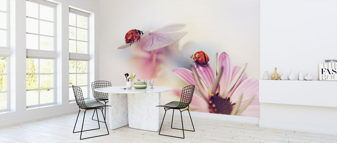 PHOTOWALL / Last Days of Summer (e324060)