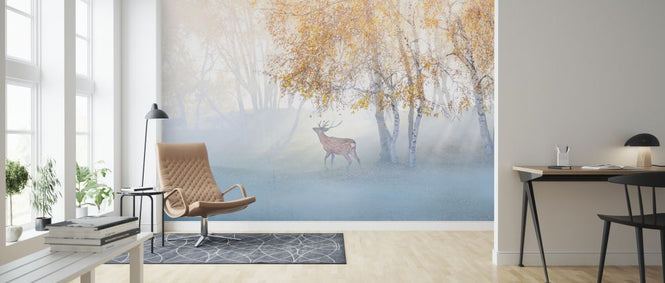 PHOTOWALL / Elk Lost in Mist (e324063)