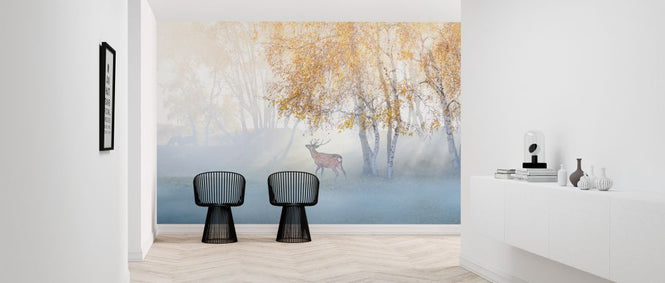 PHOTOWALL / Elk Lost in Mist (e324063)
