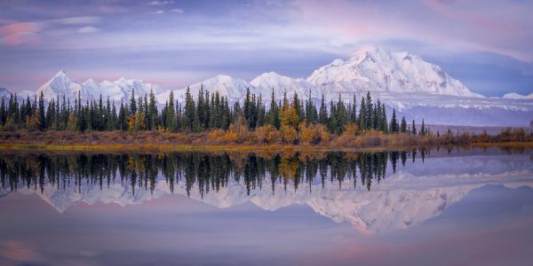 PHOTOWALL / Denali Reflection (e324065)