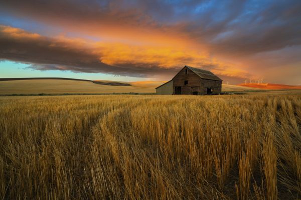 PHOTOWALL / Storm Over Palouse (e324068)