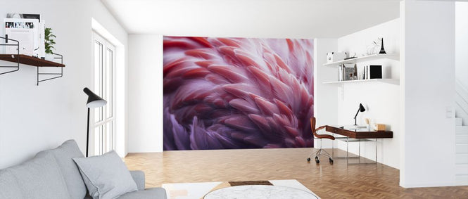 PHOTOWALL / Flamingo (e324070)