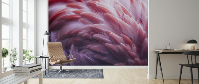 PHOTOWALL / Flamingo (e324070)