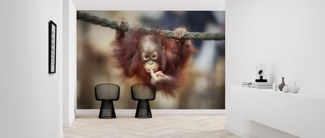 PHOTOWALL / Big Query (e324072)