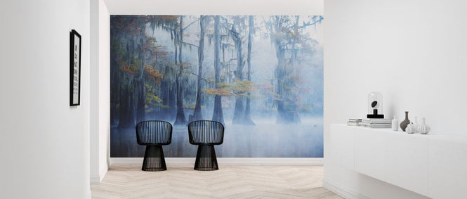 PHOTOWALL / Foggy Swamp Morning (e324075)