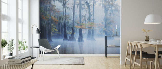PHOTOWALL / Foggy Swamp Morning (e324075)