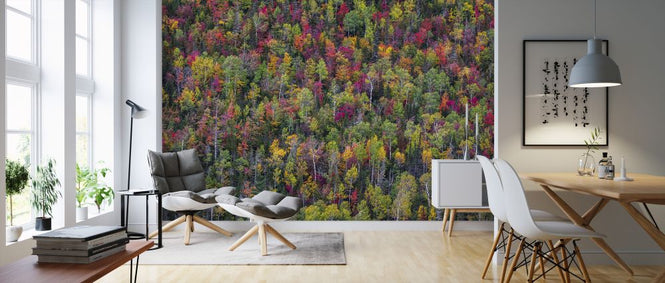 PHOTOWALL / Color Palette (e324076)