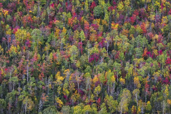 PHOTOWALL / Color Palette (e324076)