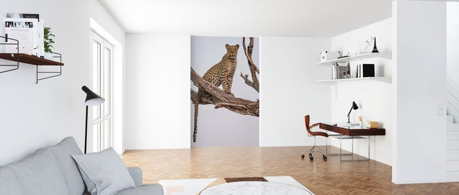 PHOTOWALL / Leopard Portrait (e324080)