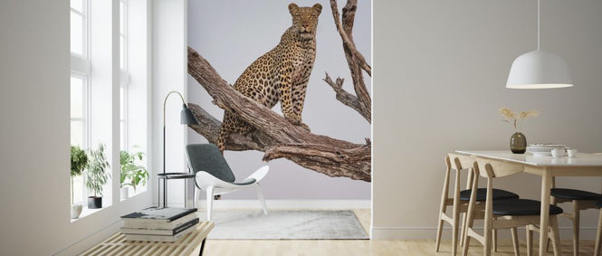 PHOTOWALL / Leopard Portrait (e324080)