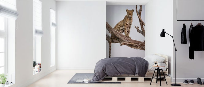 PHOTOWALL / Leopard Portrait (e324080)