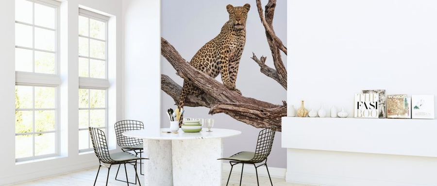 PHOTOWALL / Leopard Portrait (e324080)