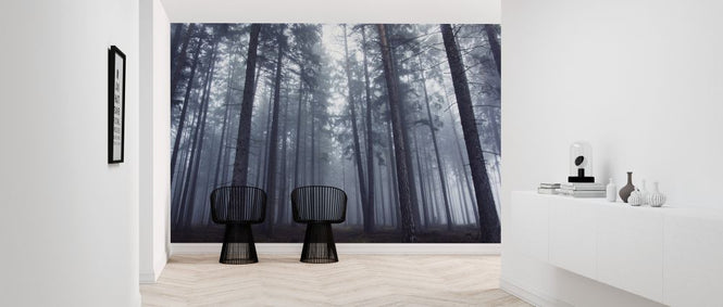 PHOTOWALL / Mysterious Foggy Forest (e324090)