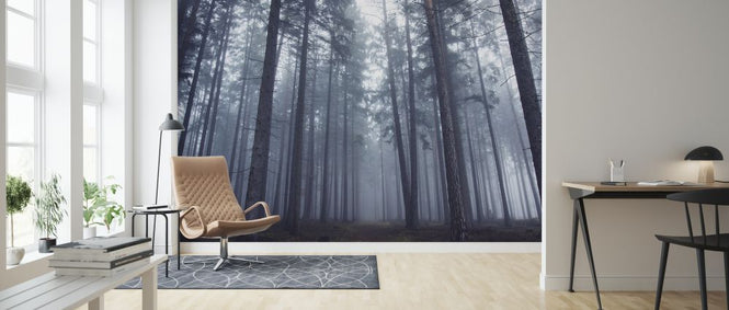 PHOTOWALL / Mysterious Foggy Forest (e324090)