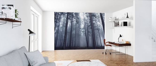PHOTOWALL / Mysterious Foggy Forest (e324090)