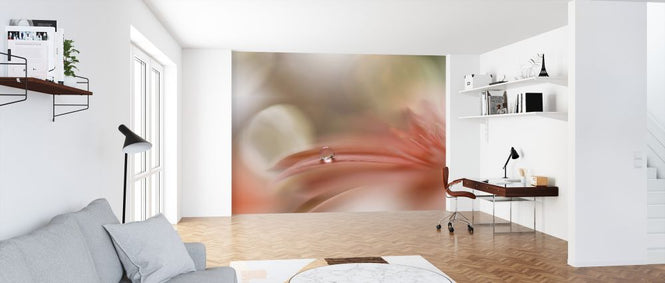 PHOTOWALL / Light Touch (e324094)