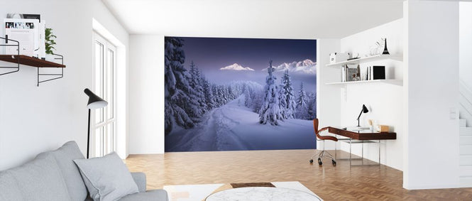 PHOTOWALL / In the Winter (e324099)