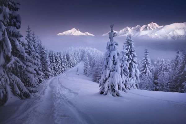 PHOTOWALL / In the Winter (e324099)