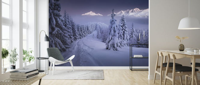 PHOTOWALL / In the Winter (e324099)