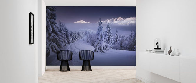 PHOTOWALL / In the Winter (e324099)