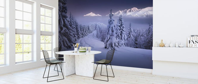 PHOTOWALL / In the Winter (e324099)
