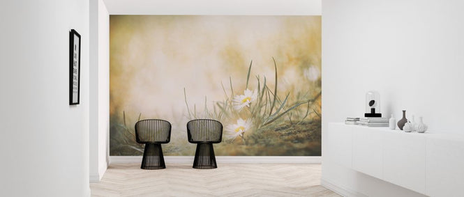 PHOTOWALL / Daisy (e324106)