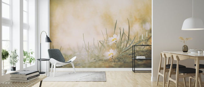 PHOTOWALL / Daisy (e324106)