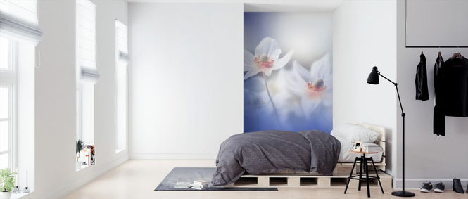 PHOTOWALL / Dancers in My Mind (e324121)