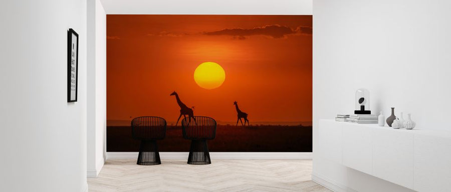 PHOTOWALL / Giraffes in the Sunset (e324124)